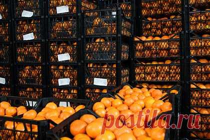 В России задумались об аннулировании ряда сертификатов на товары из ЕАЭС