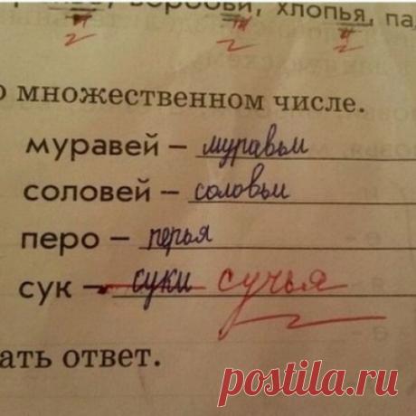 Гениальные ответы школьников, которые быстро поднимут вам настроение