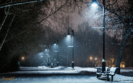 Живые фотографии – Google+
