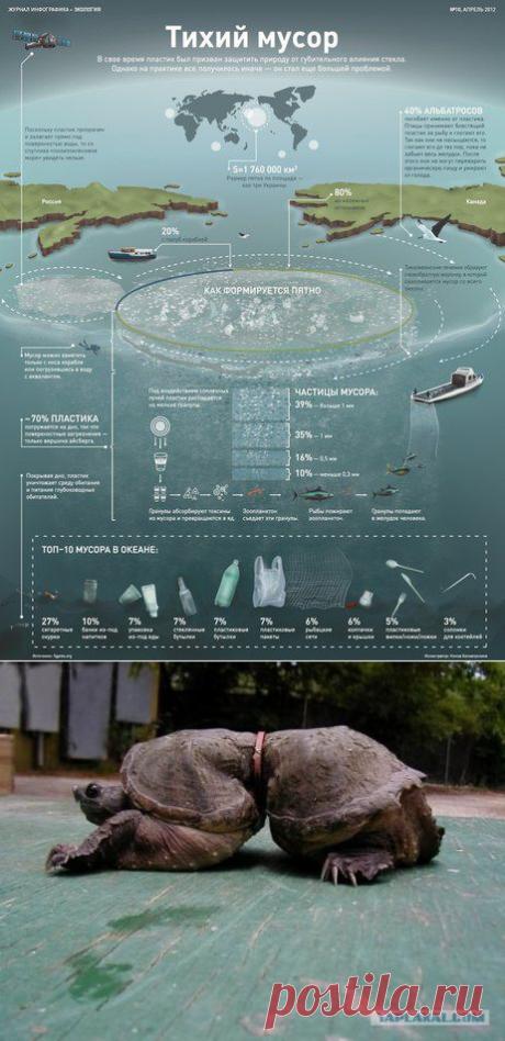 Пластиковые пакеты и бутылки для будущих поколений | Велемудр