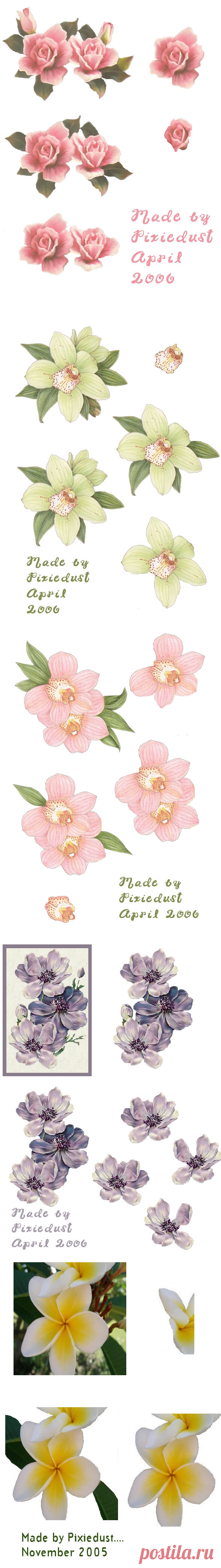 Pixiedust_Pinkroses.jpg photo by Craftypixiedust