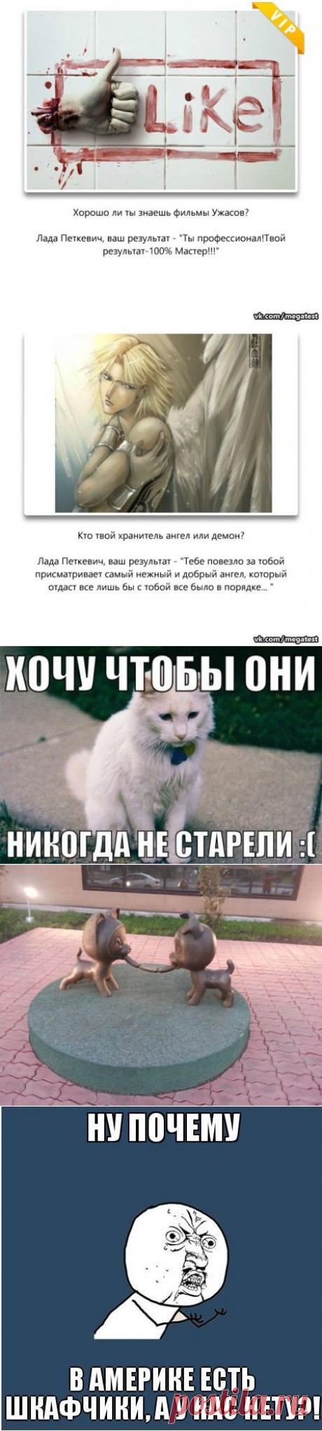 Лада Петкевич