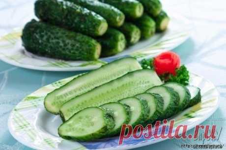 Малосольные огурцы без рассола

Огурчики получились очень вкусные! Хрустящие, ароматные, красивые! Люси, спасибо большое за рецепт! Эти потрясающие огурчики готовятся очень просто и быстро. Получаются невероятно ароматными и хрустящими. Очень вкусно подать их к картофельному пюре или к отварному молодому картофелю.

Ингредиенты:

1 кг огурцов (маленьких)
1 столовая ложка соли
3–4 зубчика чеснока
укроп

Приготовление:

Шаг 1 Укроп мелко нарезать.
Шаг 2 Чеснок мелко порубить...