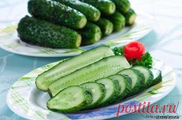 Малосольные огурцы без рассола

Огурчики получились очень вкусные! Хрустящие, ароматные, красивые! Люси, спасибо большое за рецепт! Эти потрясающие огурчики готовятся очень просто и быстро. Получаются невероятно ароматными и хрустящими. Очень вкусно подать их к картофельному пюре или к отварному молодому картофелю.

Ингредиенты:

1 кг огурцов (маленьких)
1 столовая ложка соли
3–4 зубчика чеснока
укроп

Приготовление:

Шаг 1 Укроп мелко нарезать.
Шаг 2 Чеснок мелко порубить...