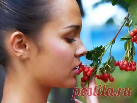 ТОПОЛЬ И РЯБИНА ~ Плэйкасты ~ Beesona.Ru