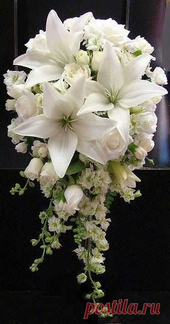 EVERY KIND OF FLOWERS – Сообщество – Google+