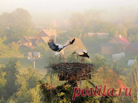 Красивые фото