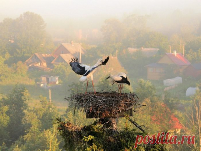 Красивые фото