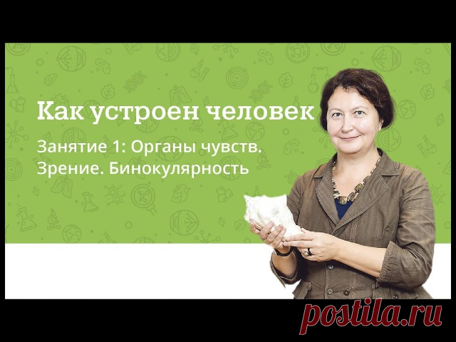Как устроен человек.