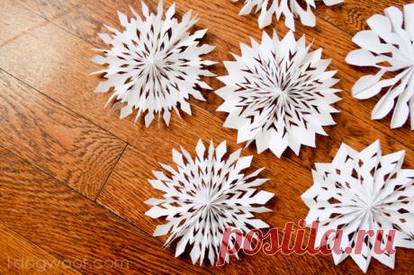 Medallion Snowflakes - One Dog Woof Here's a different type of paper snowflake to make for the winter season - 3D medallion snowflakes.