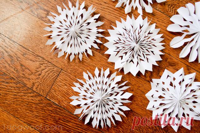 Medallion Snowflakes - One Dog Woof Here's a different type of paper snowflake to make for the winter season - 3D medallion snowflakes.