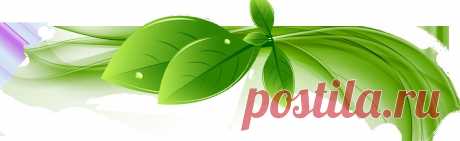 Šiuolaikinė homeopatija -