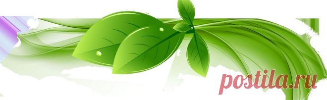 Šiuolaikinė homeopatija -