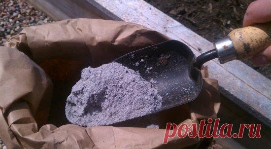 Какие растения нельзя подкармливать золой и почему