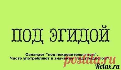 10 СЛОВ, ЗНАЧЕНИЯ КОТОРЫХ ВЫ МОГЛИ НЕ ЗНАТЬ.
