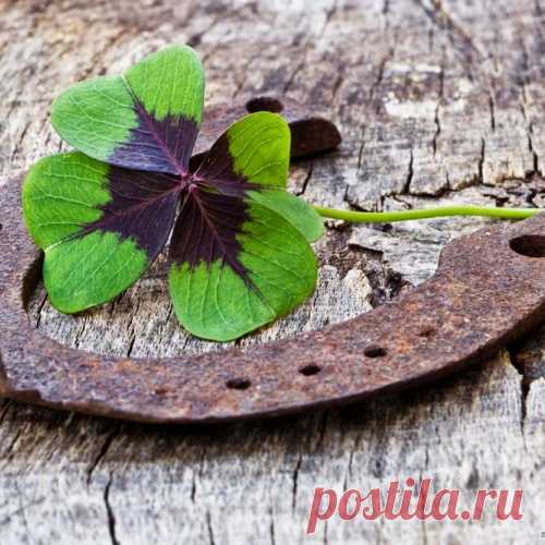 ПРИМЕТЫ НА СЧАСТЬЕ!