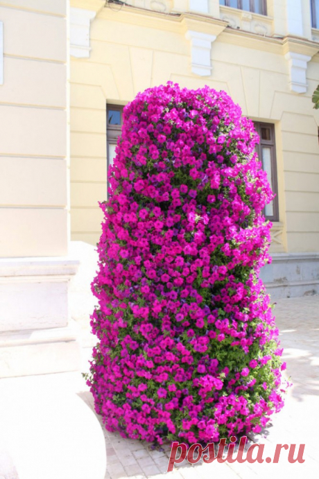 Великолепие петунии: пышная вертикальная клумба в сад | Colors.life