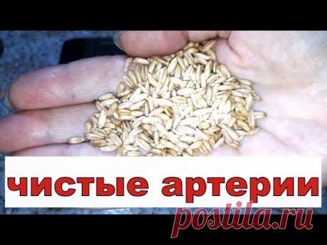 ОБНОВИТЬ кровь, ЗАМЕДЛИТЬ старение, ПОЧИСТИТЬ сосуды и печень