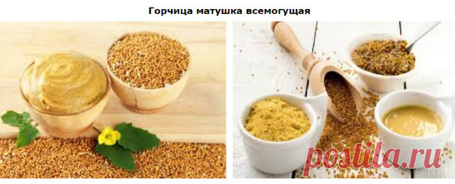 🔴✦➤● ГОРЧИЦА МАТУШКА ВСЕМОГУЩАЯ | Чаще всего большинство людей, думая о горчице, первым представляют бутерброд или хот-дог. Но на самом деле, она может быть использована для многих полезных вещей! Мало того, что горчица — вкусная приправа, она также отлично подходит для сохранения здоровья и уборки дома. Прочитайте инструкции ниже, и подготовитесь к познанию ранее неизвестного! Вы теперь будете смотреть на горчицу иначе.