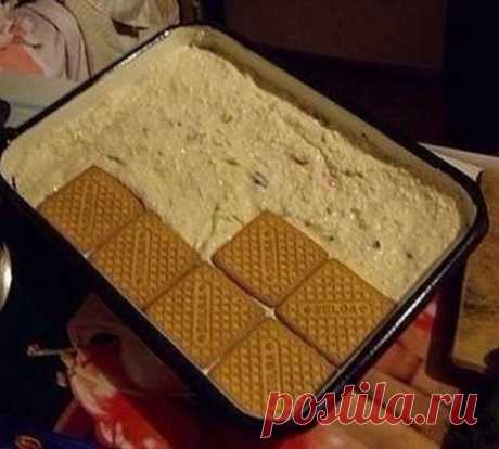 ТОРТ БЕЗ ВЫПЕЧКИ
Ингредиенты:
- печенье 24 шт + несколько штучек на обсыпку
- 250 грамм творога
- 5 ст. ложек сметаны
- 3 ст. ложки сахарной пудры
- 100 грамм масла сливочного размягченного
- чернослив по вкусу
- какао для украшения
- кофе, уже готовый, немного
Приготовление:
Творог перемешать с сахарной пудрой и сметаной (можно миксером на низкой скорости). Добавить масло. Чернослив распарить, порезать.
Форму подходящую выстелить пленкой, выложить слой печенья (слой 3 на 2, можно больше). Можно