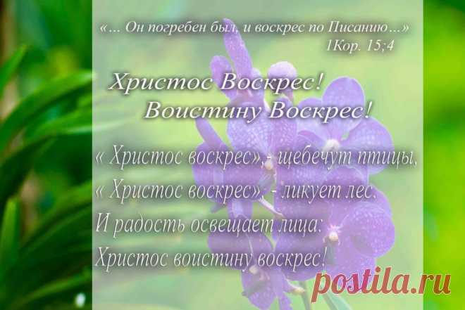 Поздравительные открытки на Пасху 2018 часть 1 | МНВ.РУ