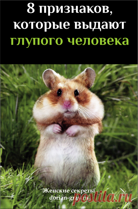 Расстройство