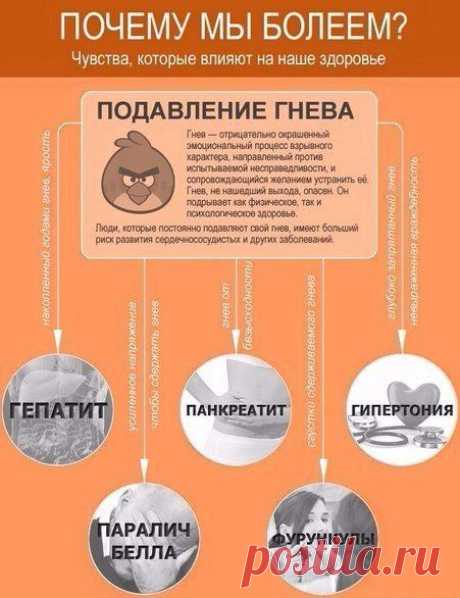 ЗДРАВОТДЕЛ. Психосоматика или чувства, которые влияют на наше здоровье