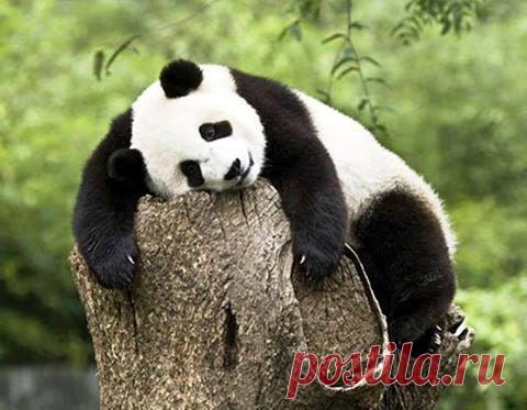 Интересные новости