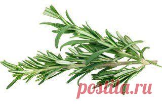 Любовь Руденко | ВКонтакте