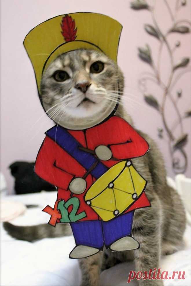 Этот кот обожает переодевания, и восхитителен в любых образах