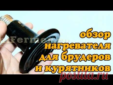 Керамический ИК нагреватель Е27 для брудера и курятника. Простой и надежный.