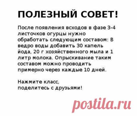 Одноклассники
