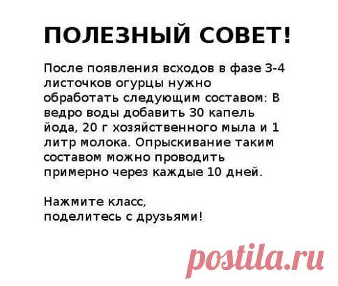 Одноклассники