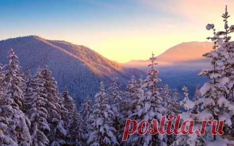 95010827_large_winterforest254201.jpg (899×562)