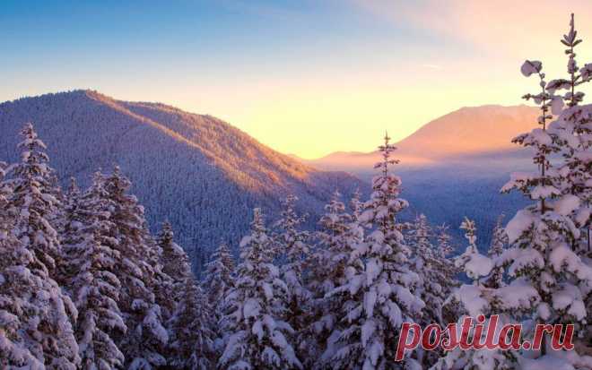 95010827_large_winterforest254201.jpg (899×562)