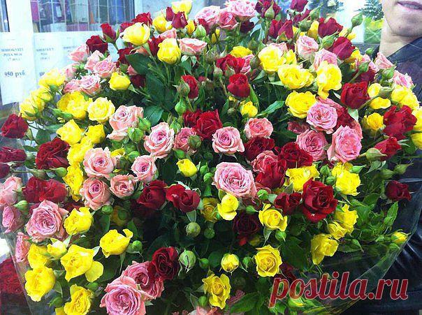 Красивые Цветы  Для Тебя