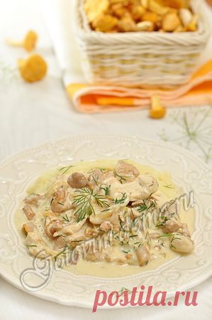 Рецепт: Лисички с куриным филе в сметане