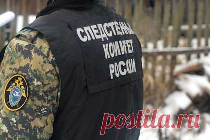 Россиянин нашел останки пропавшей в 2013 году школьницы. Российский грибник обнаружил в лесу Нижегородской области скелет человека. Как выяснилось позднее, останки принадлежат 15-летней девочке, которая пропала в 2013 году.20 июня 2013 года страдавшая синдромом Дауна школьница вышла погулять из дома, однако обратно не вернулась.