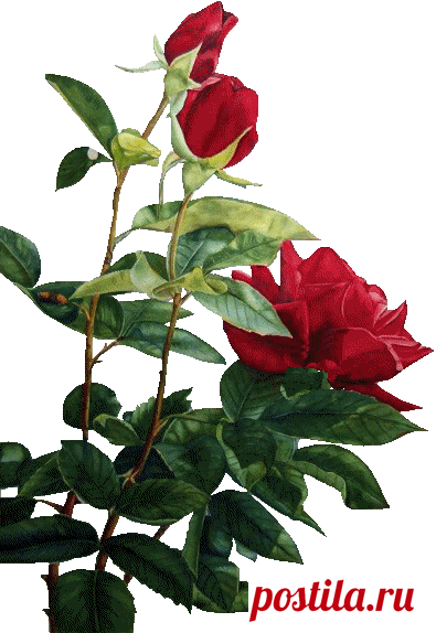 Плейкаст «День влюблённых. Любите и будьте любимы...»