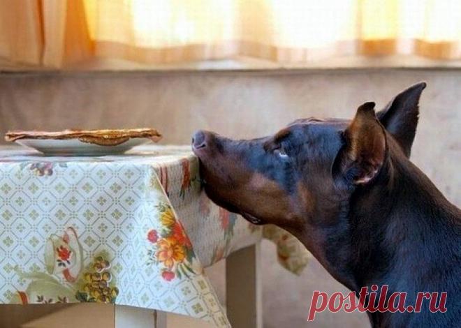 Главное - самоконтроль | Позитив