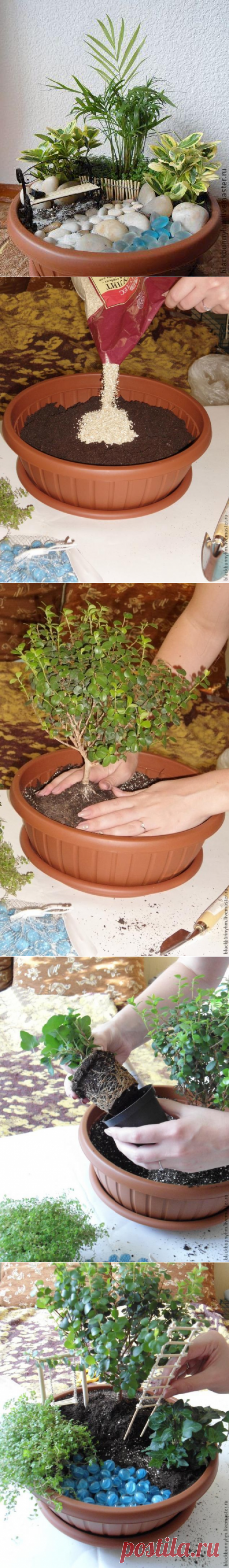 Мини-сад в горшке