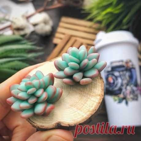 Суккуленты из полимерной глины | Креаликум