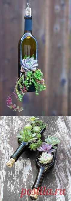 Wine Bottle Planters  #recycle #upcycle #decoration #lamp…