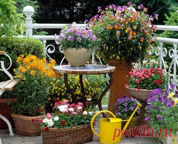 Заглядение