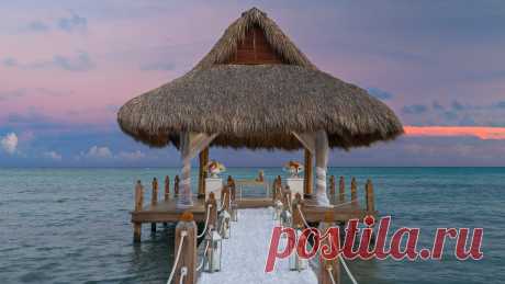 caribbean - Поиск в Google