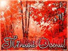 Мой Мир@Mail.Ru