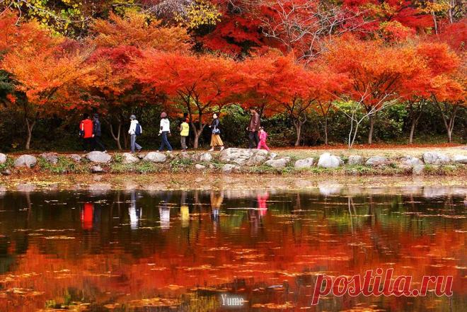 Зеркальное отражение осени в воде! Буйство осенних красок над зеркалом озер! - Блог Три и ночка