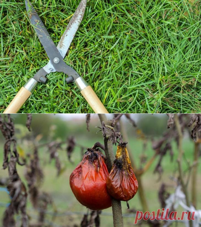 8 непростительных ошибок, которые вы совершаете каждую осень