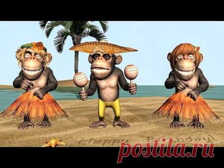 Funny Happy Birthday Song. Monkeys sing Happy Birthday To You