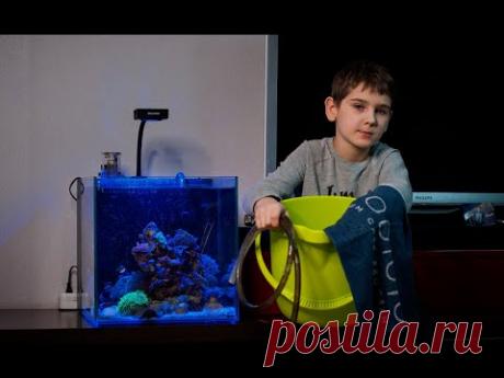 Обслуживание морского аквариума Пошаговая инструкция - YouTube